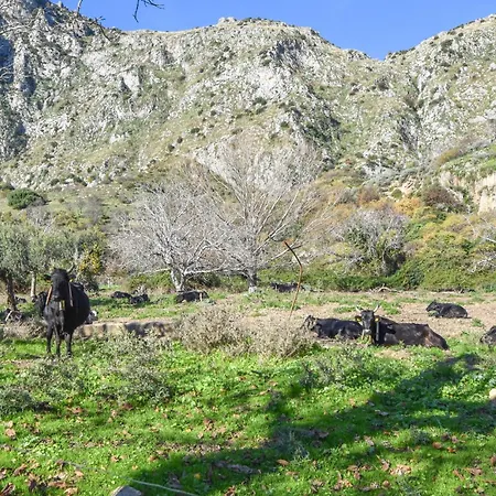 Salvia Tatil Evi San Giuseppe Jato